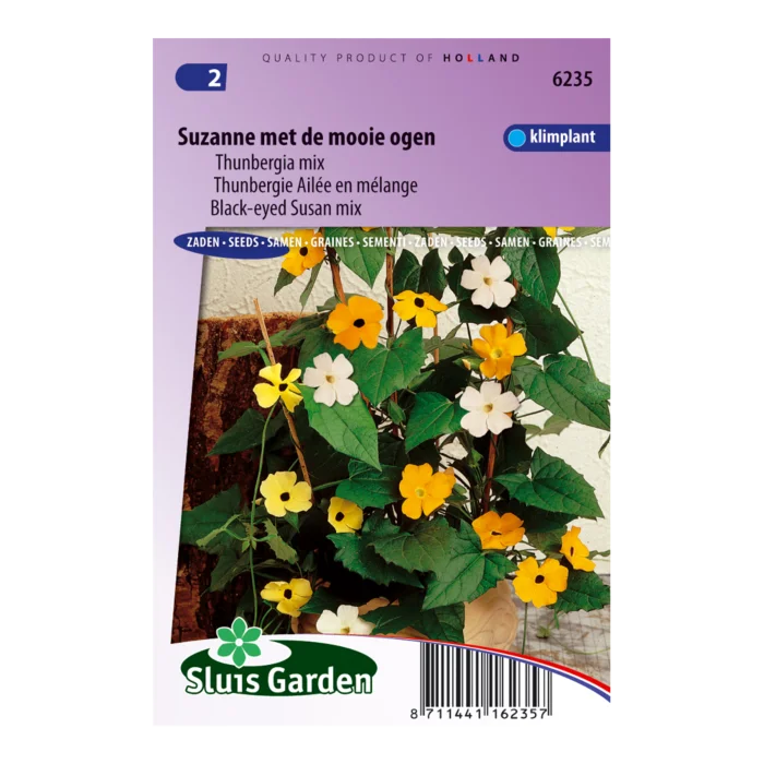 biezen-3772053