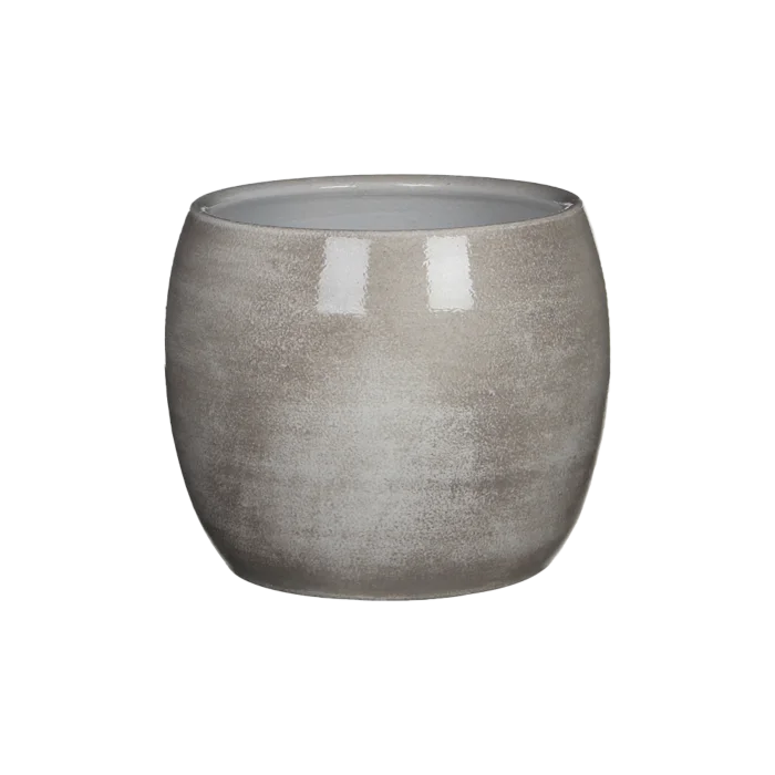 biezen-3774155