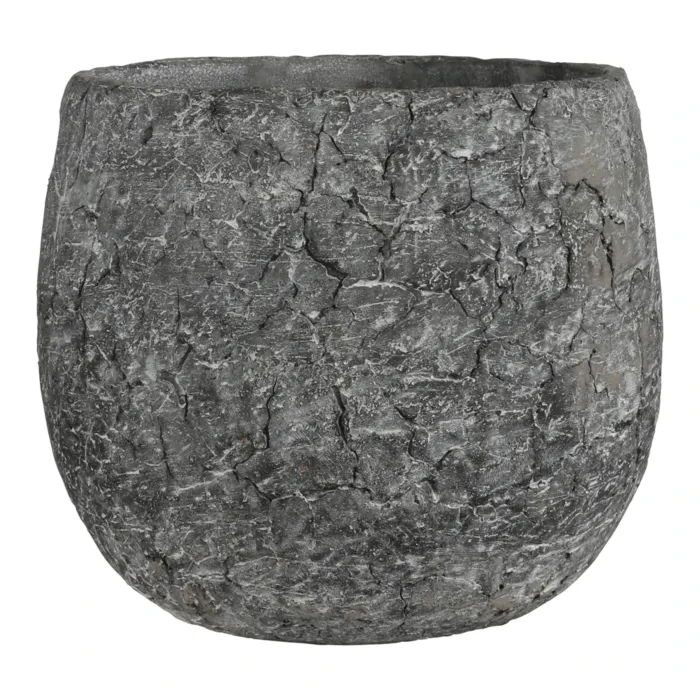 biezen-3774273
