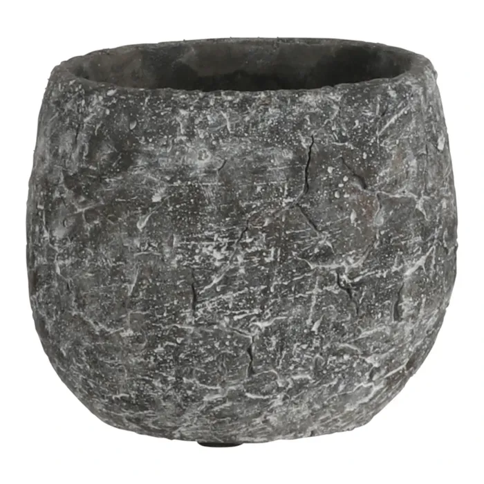 biezen-3774282
