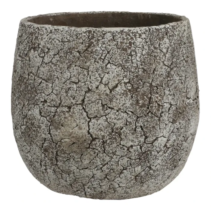 biezen-3774296