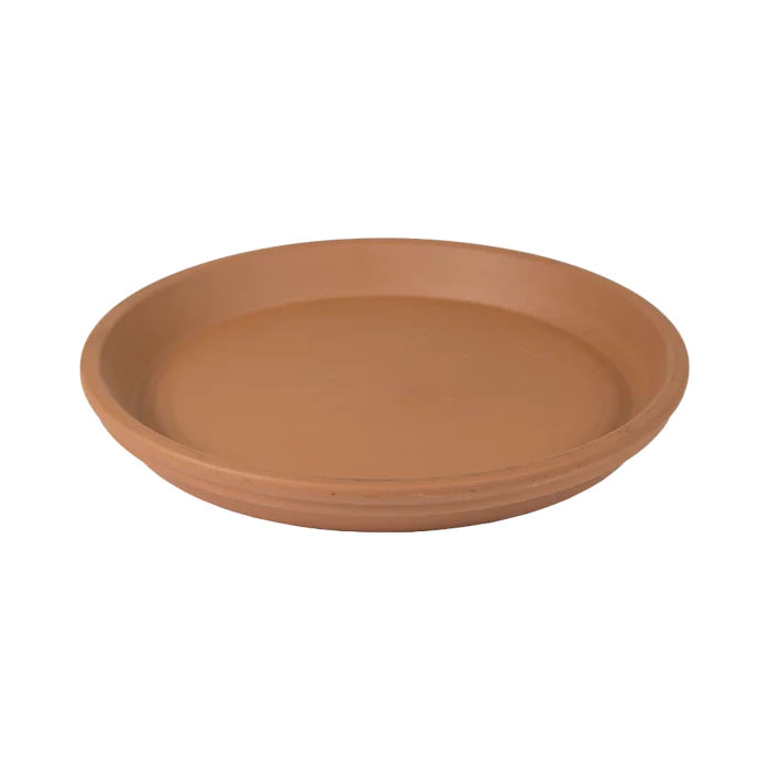 biezen-3775150