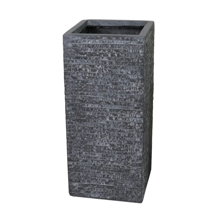 biezen-3775463