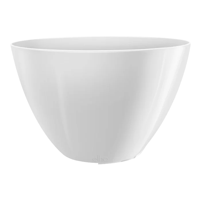biezen-3775796
