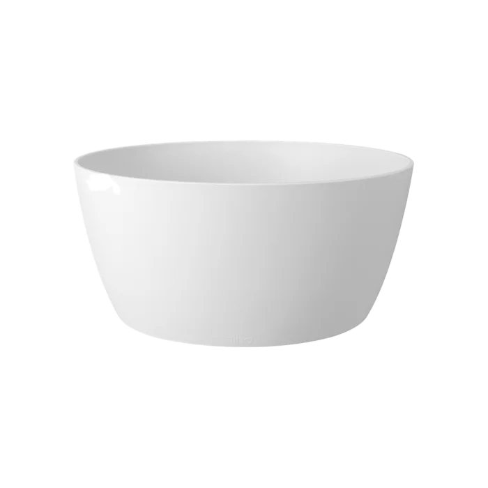 biezen-3776066