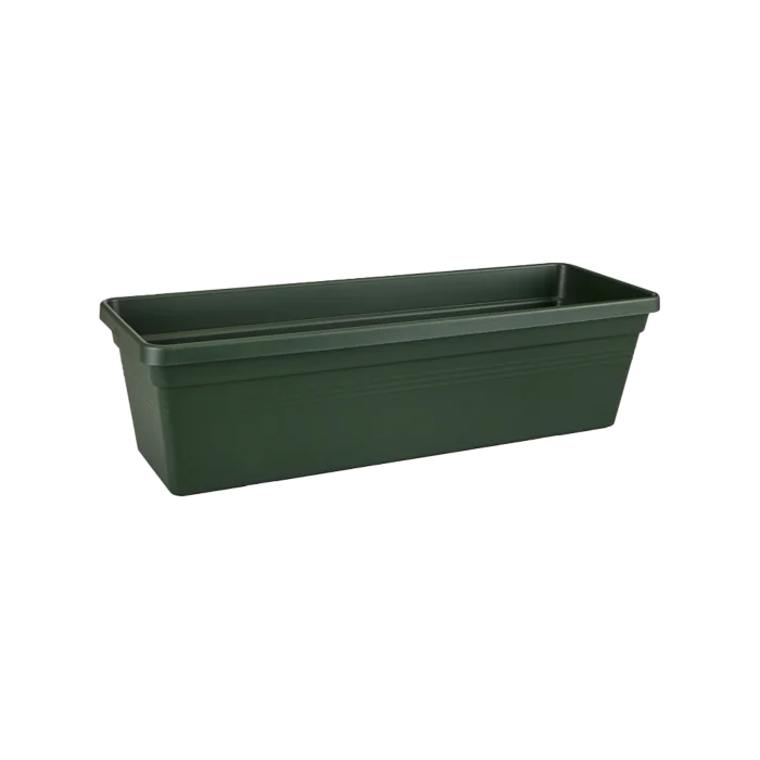 biezen-3776180