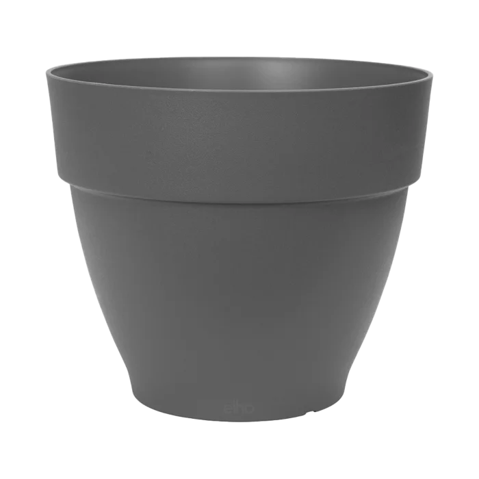 biezen-3776964