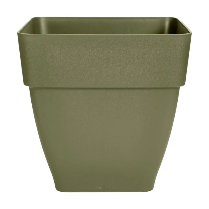 biezen-3777062