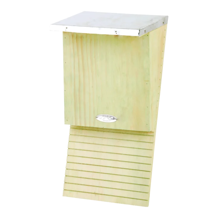 biezen-3779021