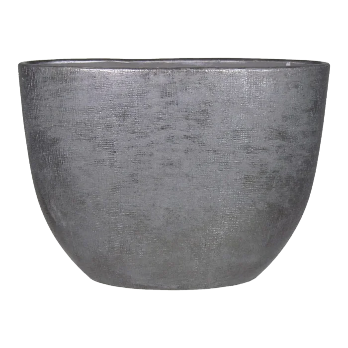 biezen-3779070