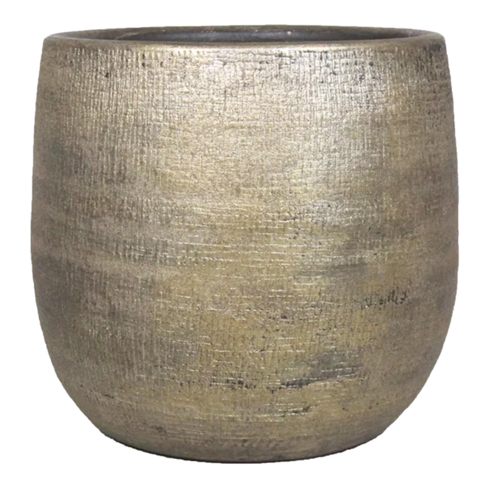 biezen-3779248