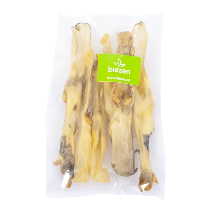 biezen-3779748