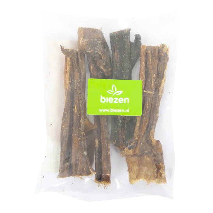 biezen-3779809