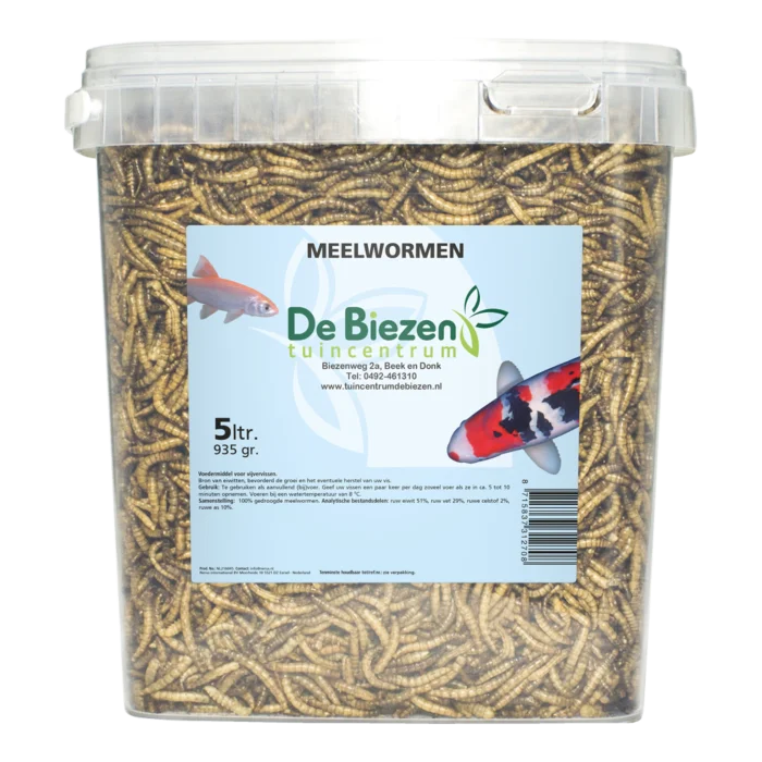 biezen-3780815