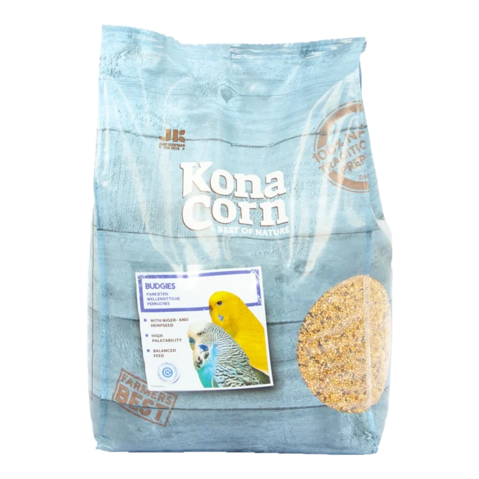 biezen-3781279