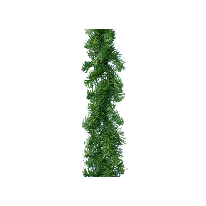 biezen-3782997
