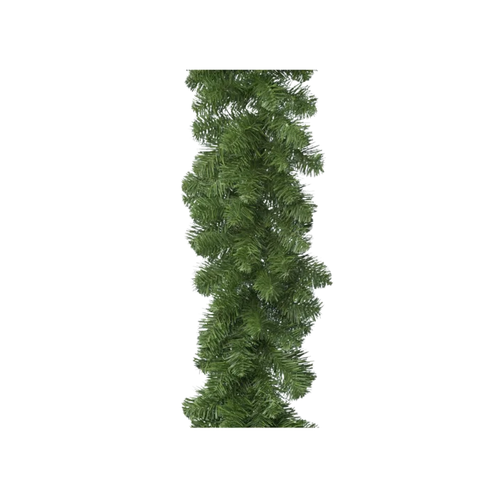 biezen-3783012