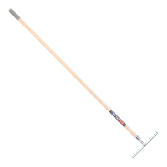 biezen-3785481