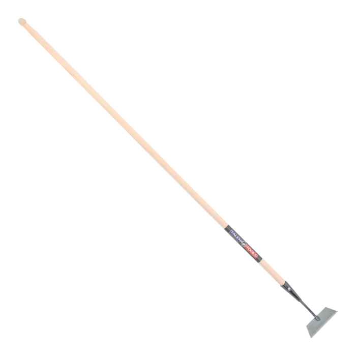 biezen-3785492