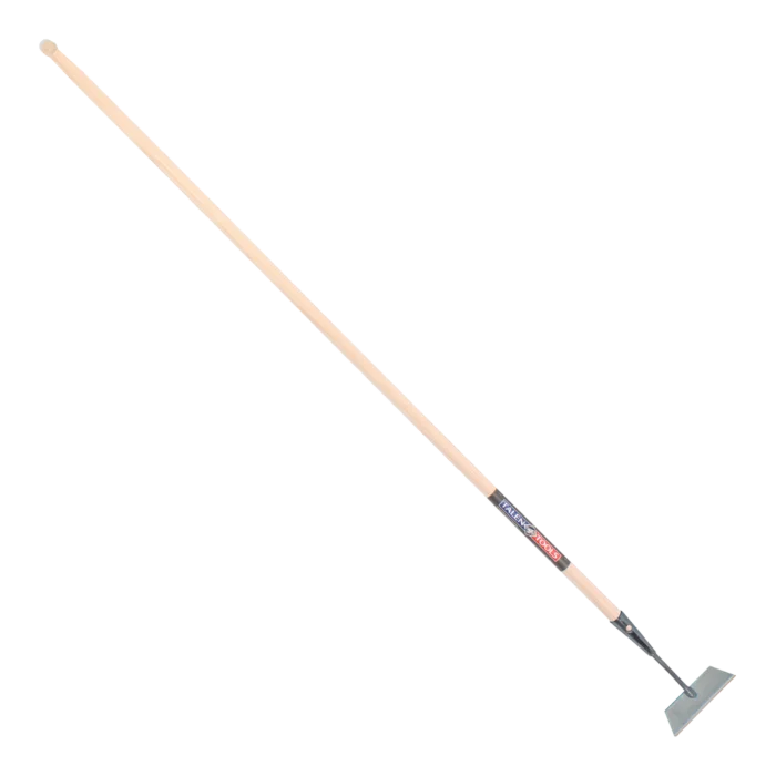biezen-3785493