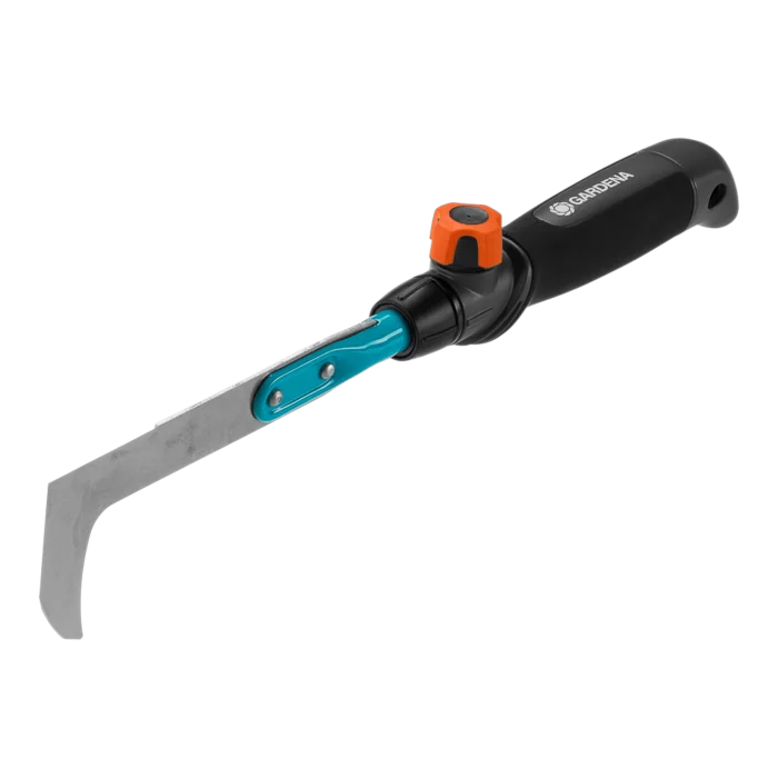 biezen-3785839