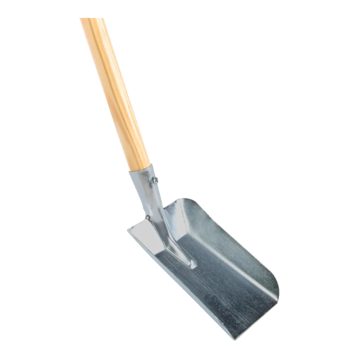 biezen-3785886