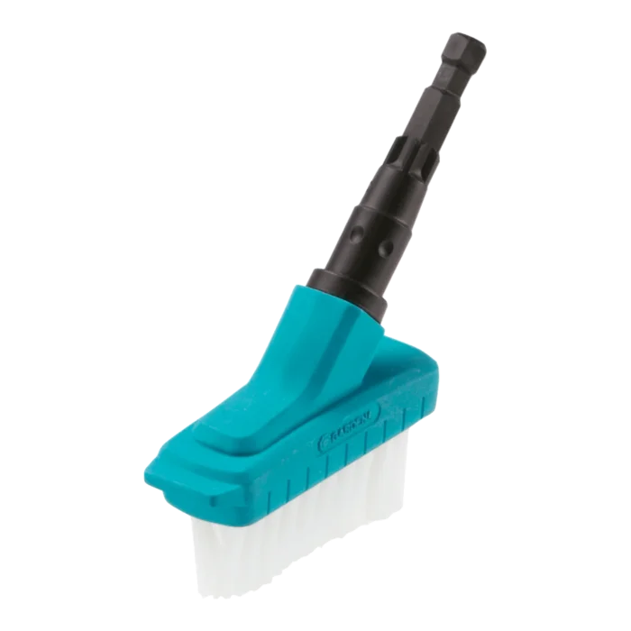 biezen-3786240