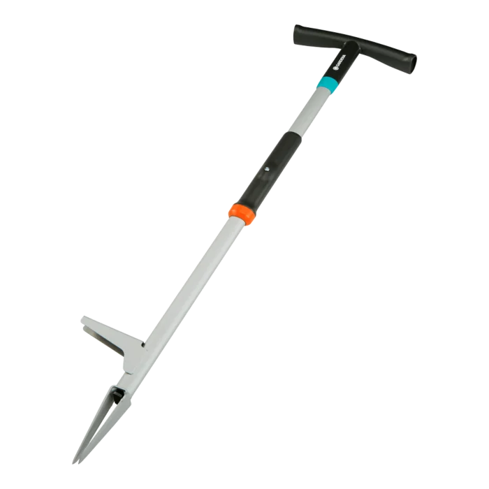 biezen-3786269