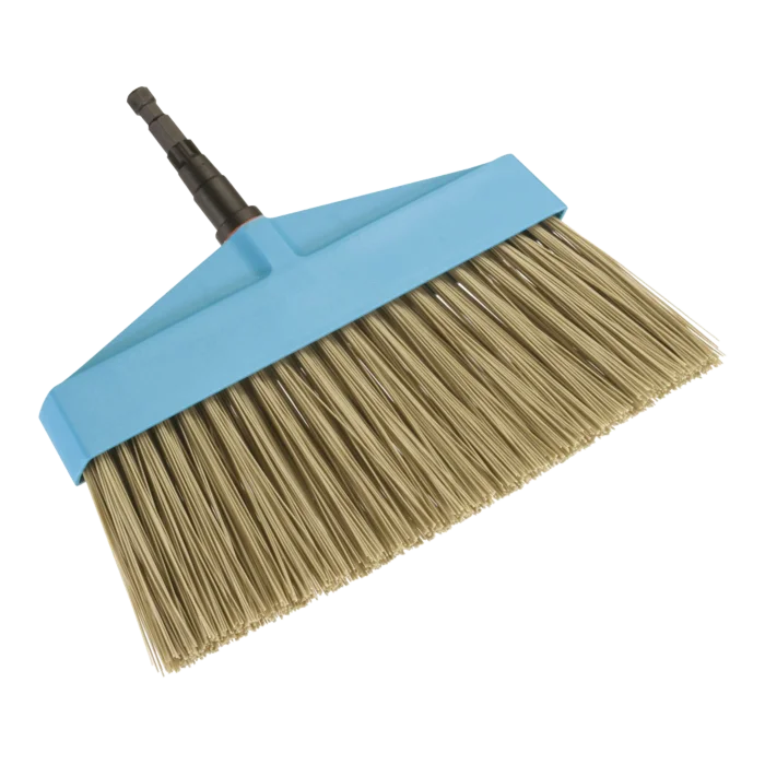 biezen-3786525