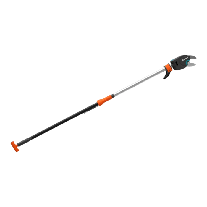 biezen-3786602