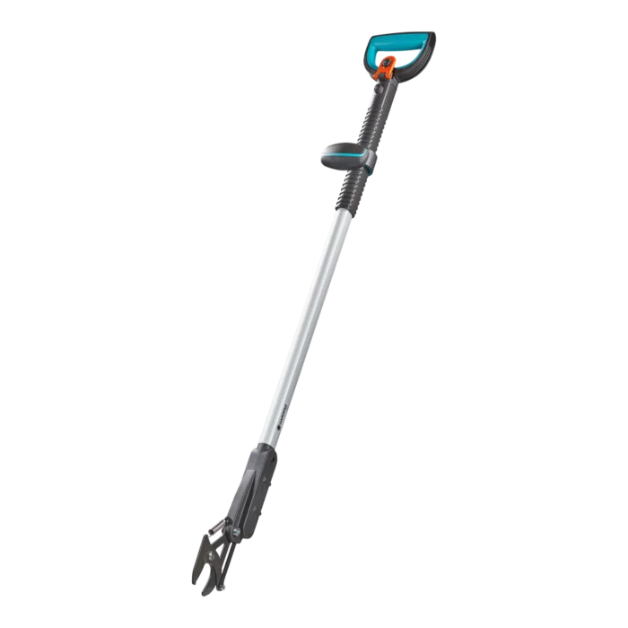 biezen-3786603