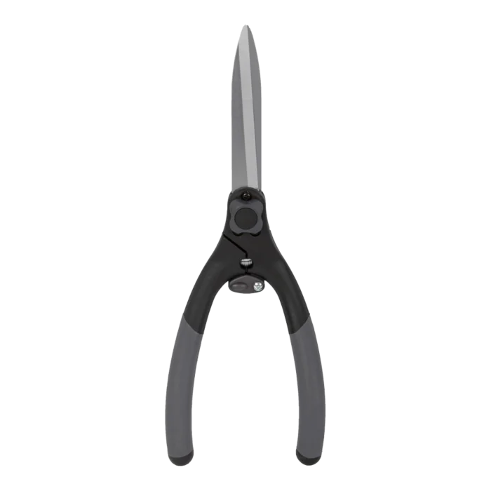 biezen-3786611