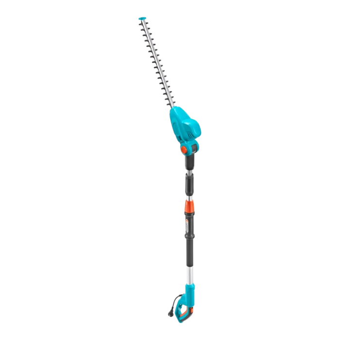 biezen-3786674