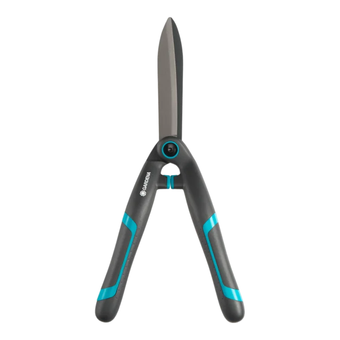 biezen-3786686