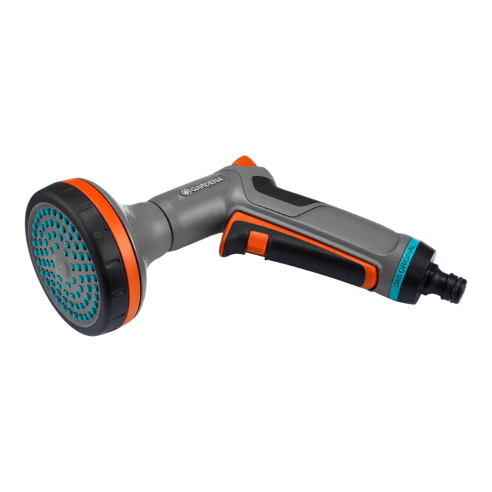 biezen-3786850
