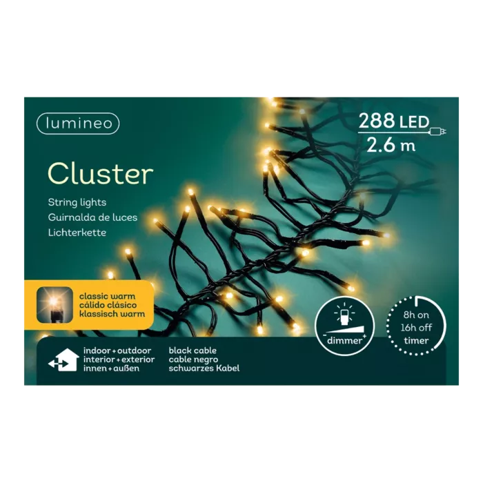 biezen-3788031