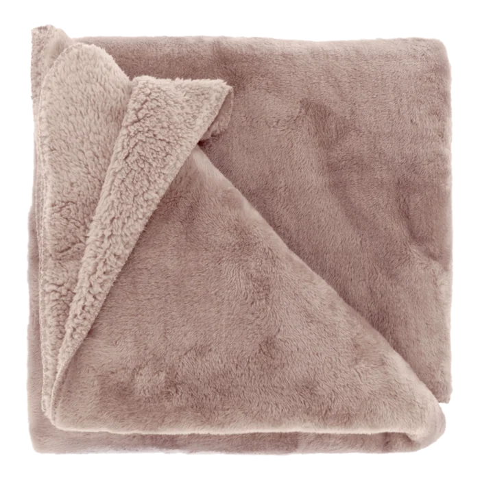 biezen-3788547