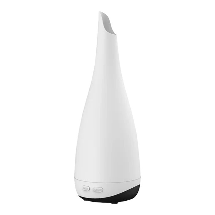 biezen-3788588