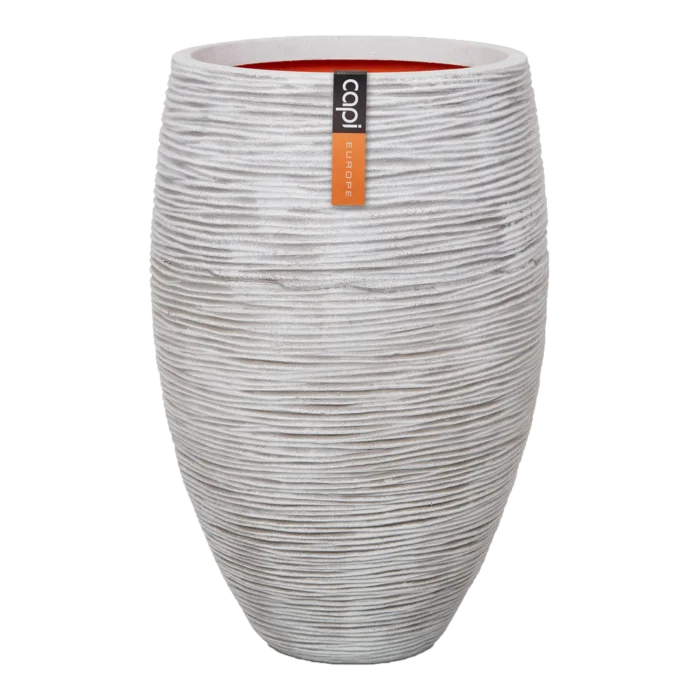 biezen-3789533