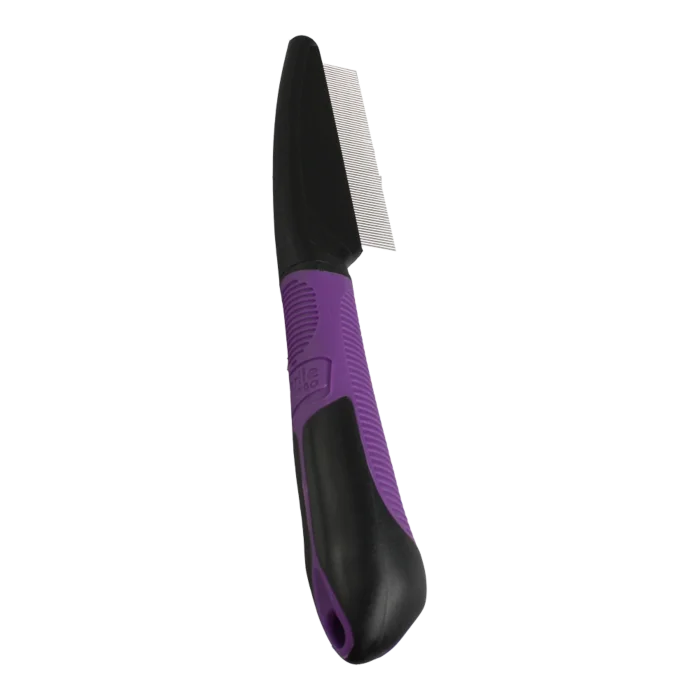 biezen-3789581