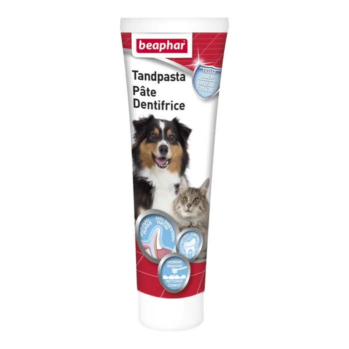 biezen-3789670