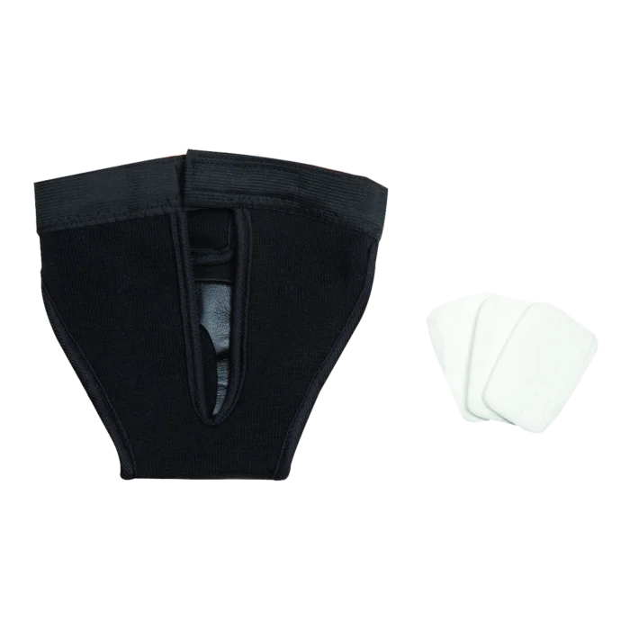 biezen-3789825