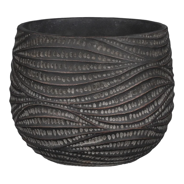 biezen-3790848