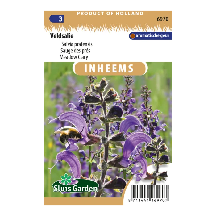 biezen-3791442