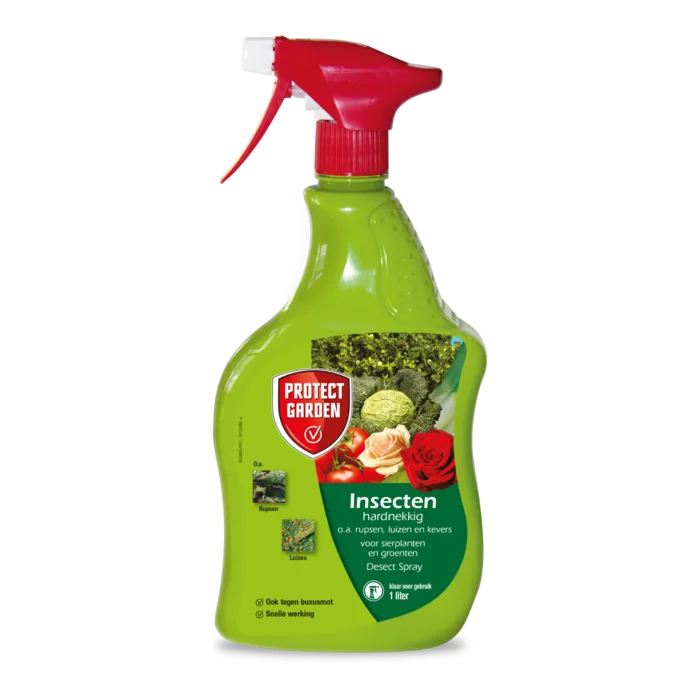 biezen-3791771