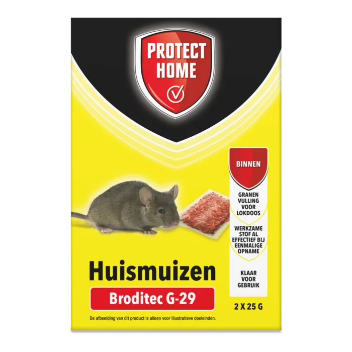 biezen-3791827