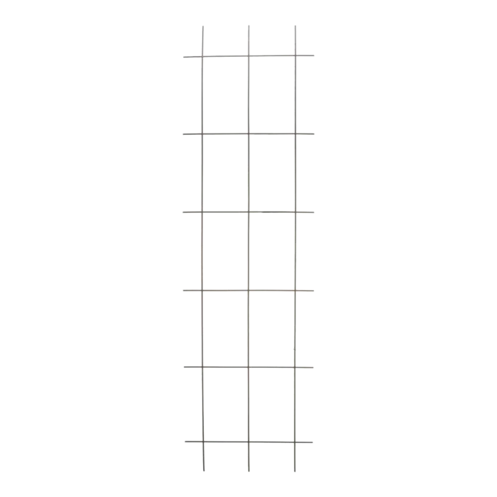 biezen-3791862