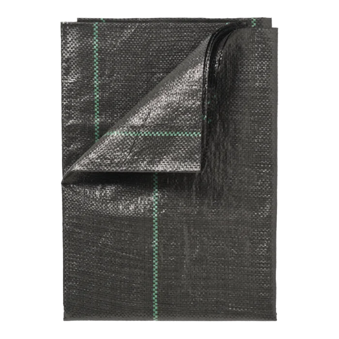 biezen-3791920