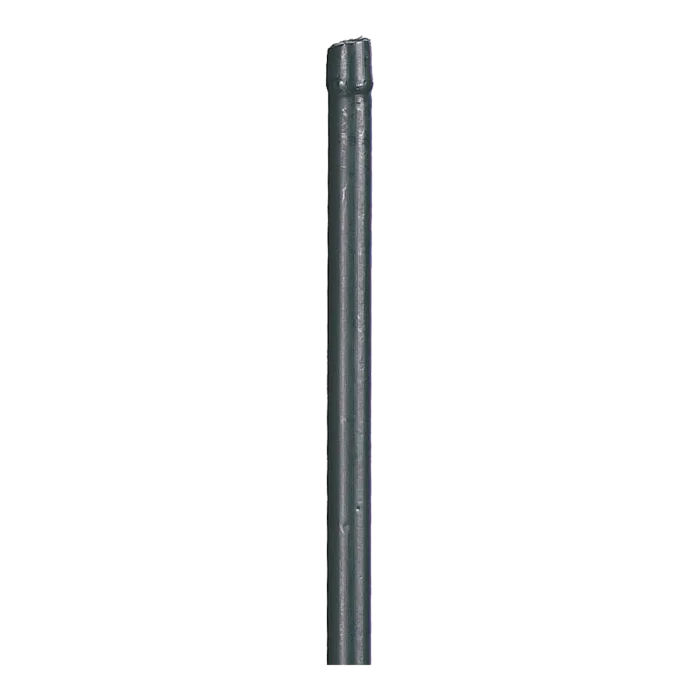 biezen-3792062