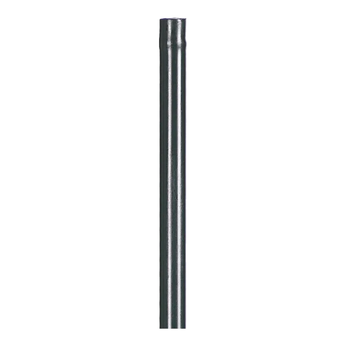 biezen-3792078